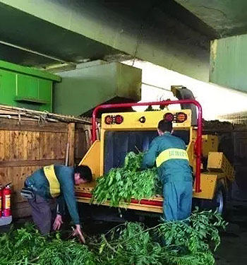 果蔬垃圾如何變身有機肥料?